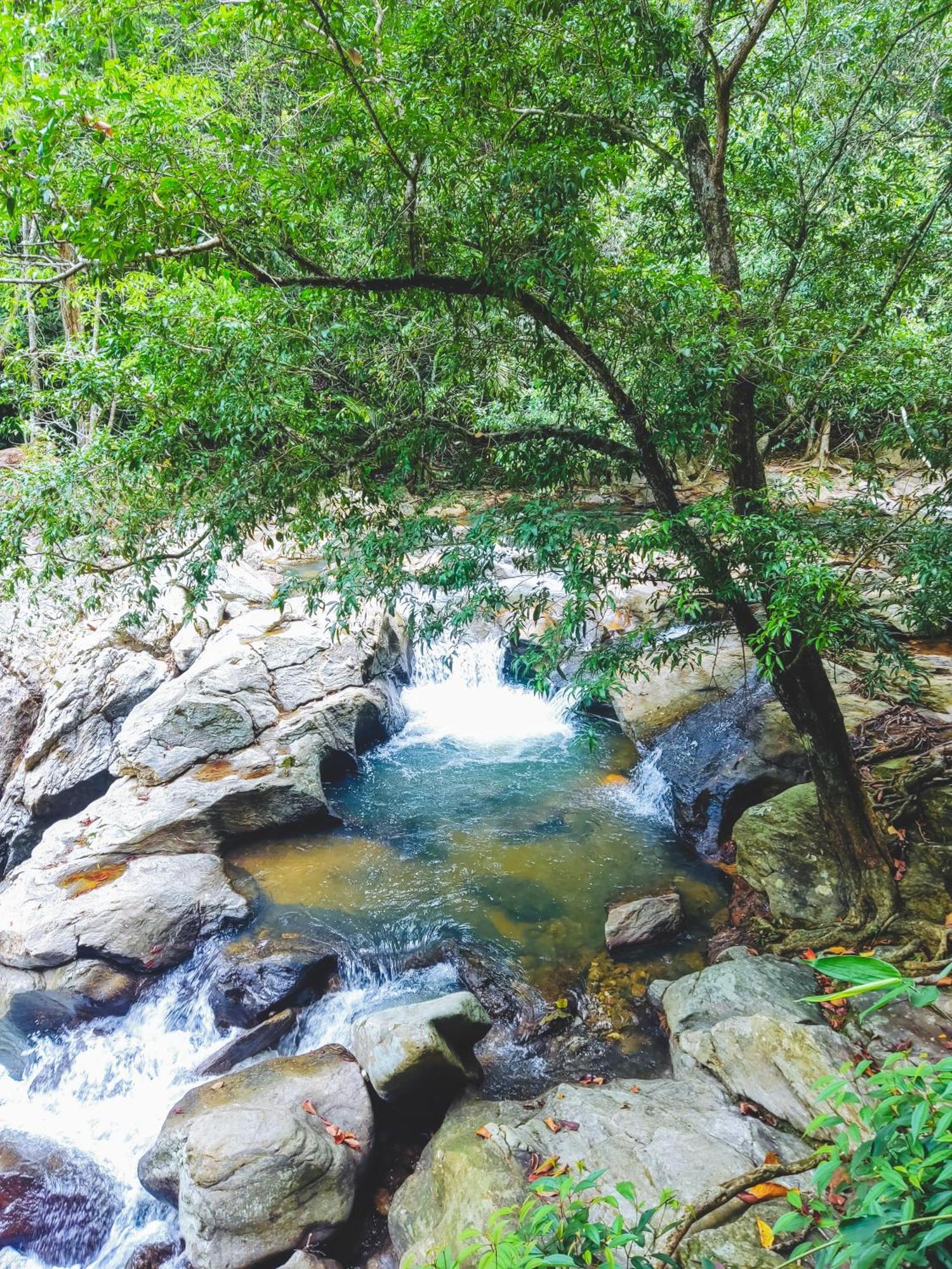 Entreaguas Ecolodge Doradal Bagian luar foto