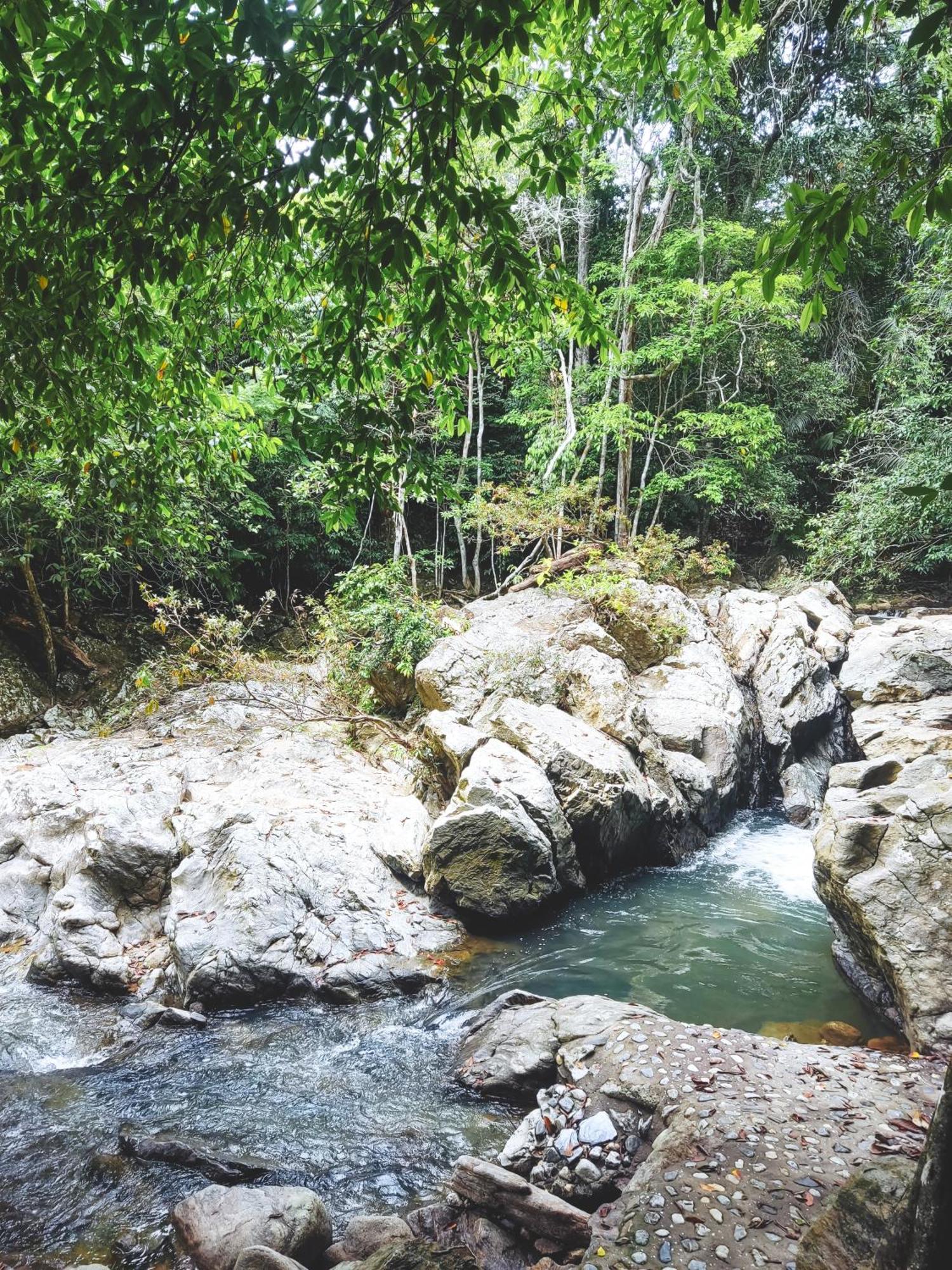 Entreaguas Ecolodge Doradal Bagian luar foto